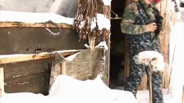 Охота на Северного оленя в Якутии