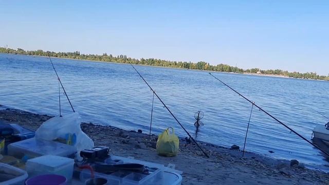 Рыбалка на Дону, Калач на дону.