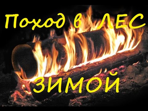 один в зимнем лесу ( Ночевка)