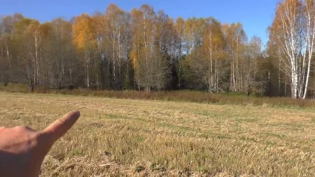 В поисках золота, старины, сокровищ и проклятий с Дмитрием Мусихиным!!!