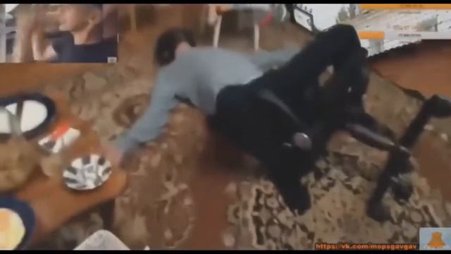 МОПС ДЯДЯ ПЁС САМЫЕ ВЕСЁЛЫЕ МОМЕНТЫ СО СТРИМА 18