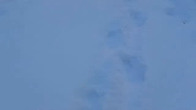 МОТОБУКСИРОВЩИК!!!!! Что лучше?? ТЯГАЧ или ТОЛКАЧ???