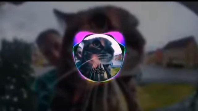 SAVUOON(автор) МЯУ (Phonk Remix) 1 час
