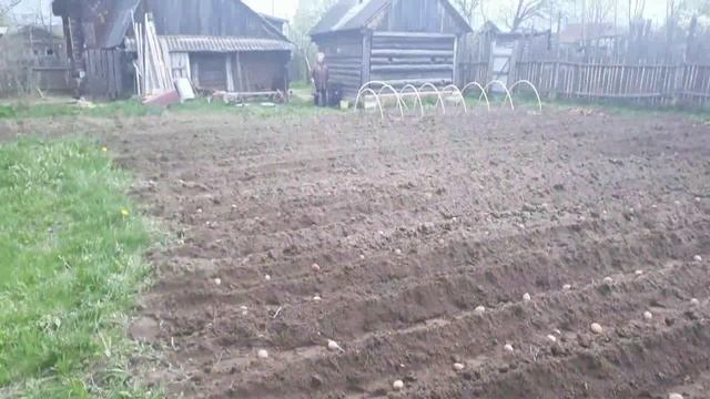 Двухрядный окучник спереди мотоблока.