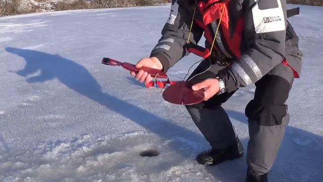 ЖЕРЛИЦЫ АЭЛИТА
