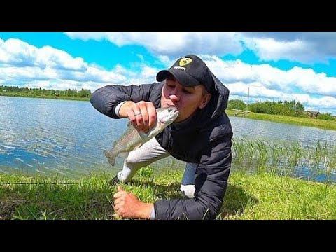 Форель НА Поплавок и Кукурузу Бешеный Клёв Жесть !