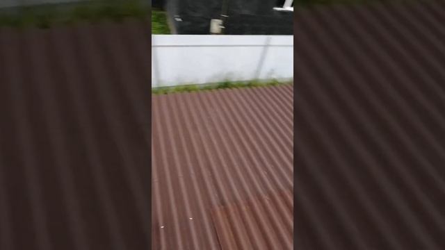 Стелим ондулин на крышу