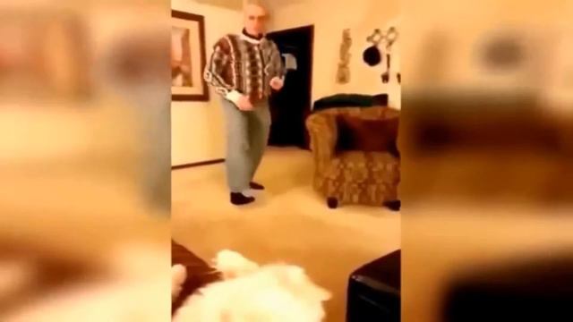Смешные испуги людей и животных| Начало.