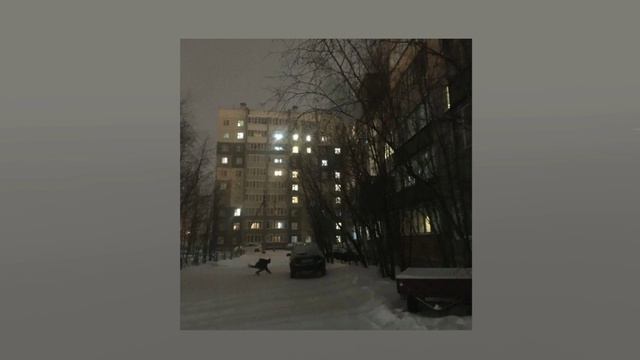 playlist ЩЕНКИ: лучшие песни