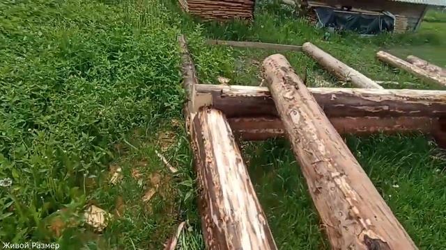 Как запилить лапу в бревне/рубка сруба/сруб лапа чаша