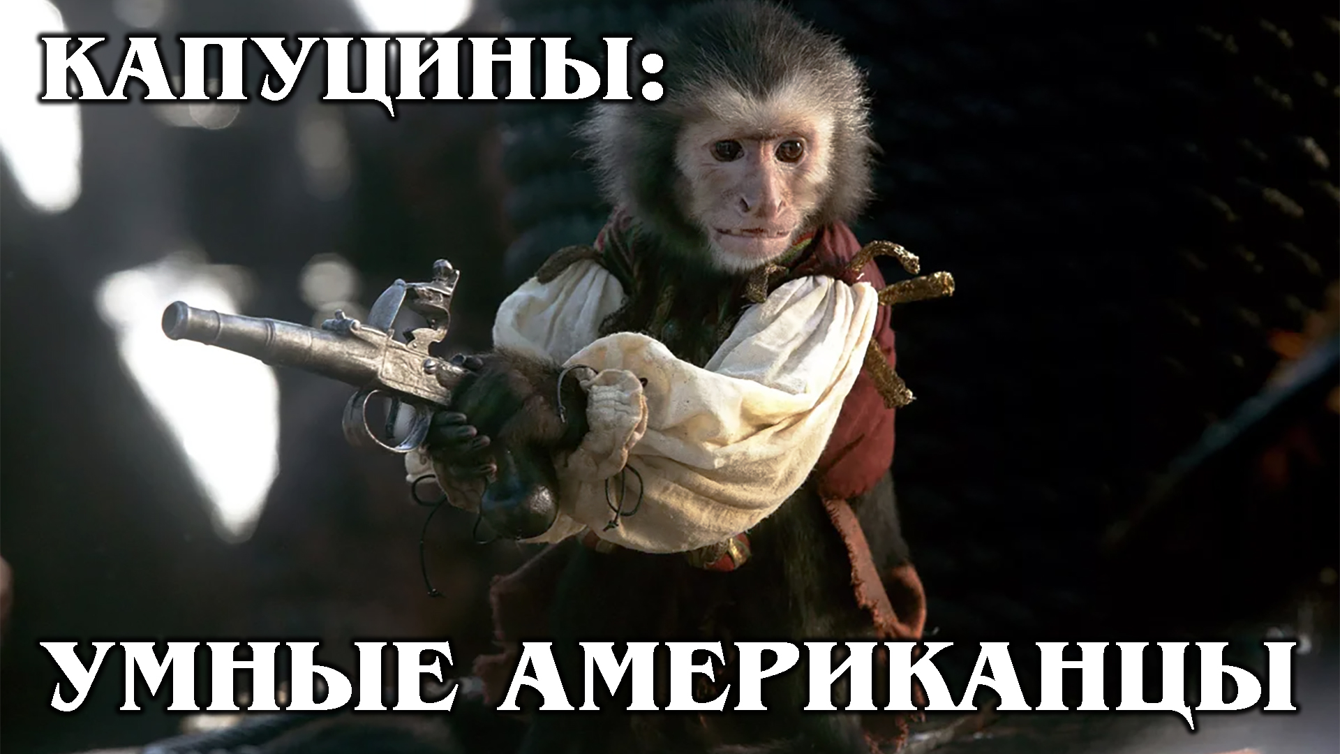 КАПУЦИН: Ненавидит гарпий и любит ловить лягушек | Интересные факты про приматов и животных