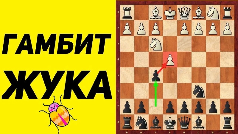 Шахматы. РИСКОВАННЫЙ Дебют за черных против 1.Е2-Е4. Школа шахмат d4-d5.