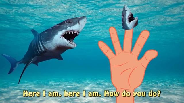 Finger Family Shark Family Nursery Rhyme Animal Finger Family Fish Finger Family for children 1