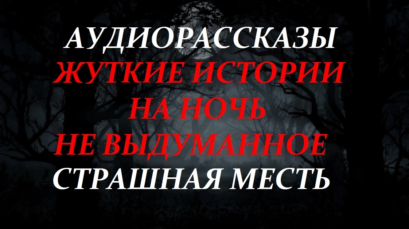 СТРАШНЫЕ ИСТОРИИ НА НОЧЬ-СТРАШНАЯ МЕСТЬ