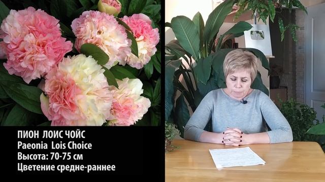 ПИОНЫ ? Обзор 10 лучших сортов для посадки в саду / Садовый гид