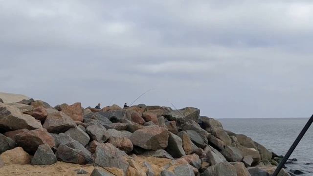 Морская рыбалка. Ловля камбалы с берега. Камбала калкан. Catching flounders from the shore.