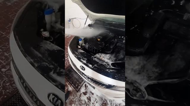МОЙКА ДВИГАТЕЛЯ НА АВТОМОБИЛЕ KIA OPTIMA!