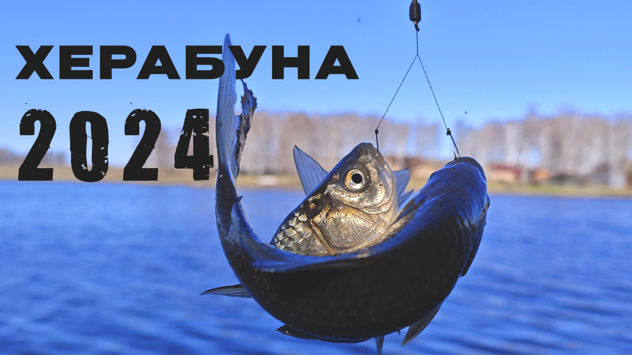 Поймать КАРАСЯ по ледяной ВОДЕ! Весенний ТОП для карася.