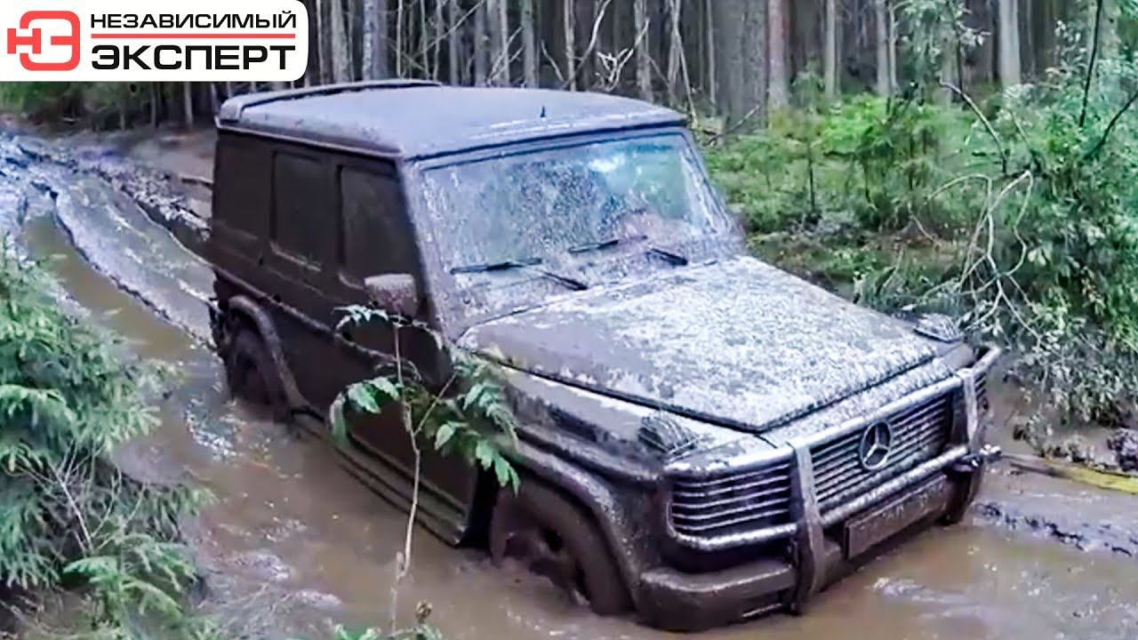 ГЕЛИК BRABUS | В ЛЕС НА ВСЕ ДЕНЬГИ