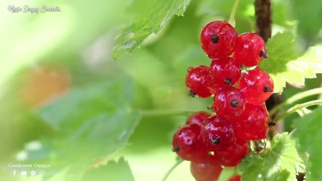 ВАЛЬС ДОЖДЯ! Красивая осень! Невероятная красивая музыка Нежной любви! Золотая сказка ОСЕНИ! #2