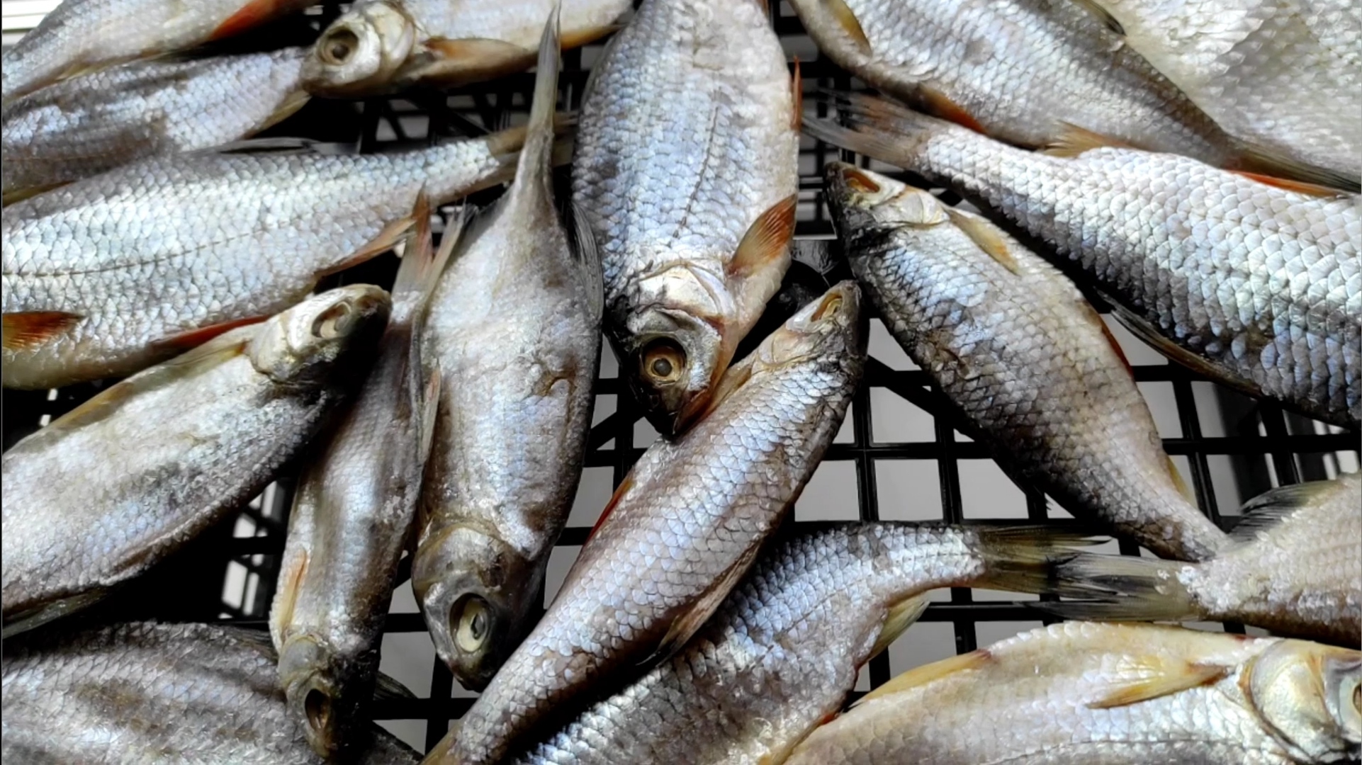 Сухой Посол рыбы Самая вкусная ВЯЛЕНАЯ РЫБА которую не нужно вымачивать!