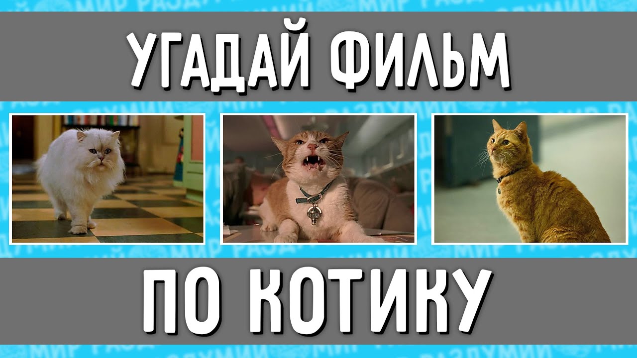 УГАДАЙ ФИЛЬМ ПО КОТИКУ ЗА 10 СЕКУНД !