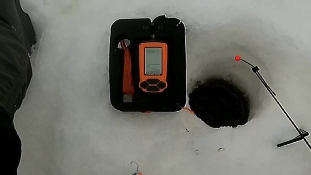 эхолот Практик 6м
подходы судака к приманке  рыбалка зимой