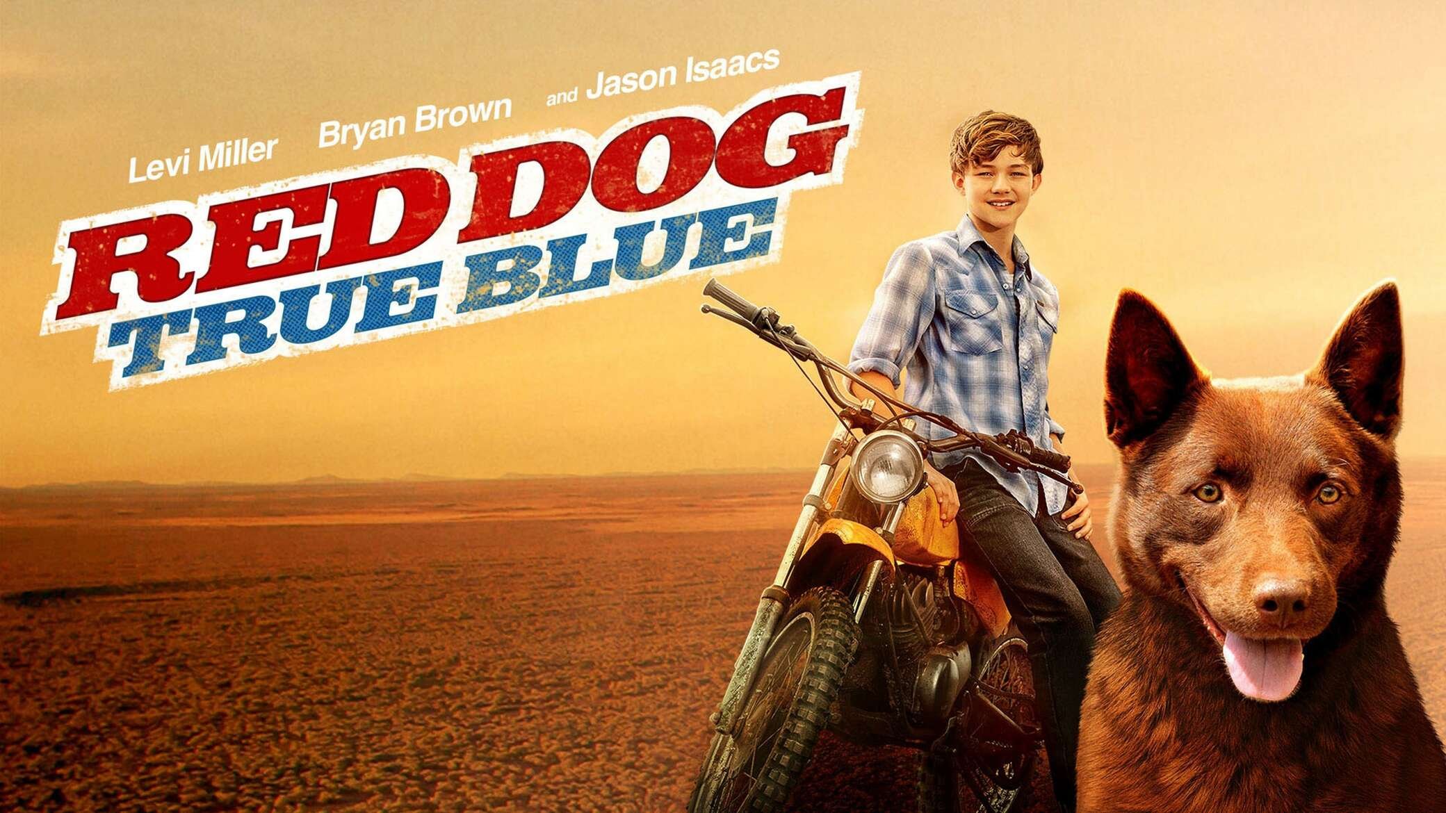 Рыжий пёс. Самый верный | Red Dog: True Blue (2016)