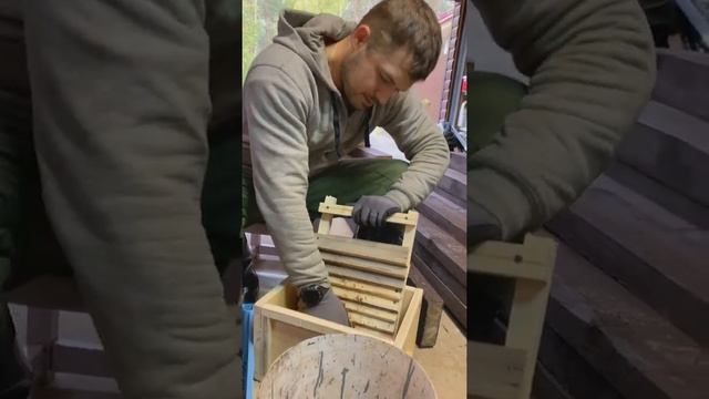 Как быстро чистить Кедровые шишки. Самый легкий способ.