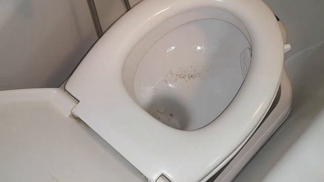 Как Прочистить Унитаз от Камня домашним простым способом. Забился унитаз. Засор в унитазе. Лайфхак.