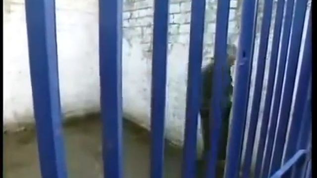 ДЕТИ В ТЮРЬМЕ! ФИЛЬМ ПРО ДЕТСКУЮ ТЮРЬМУ И ИХ ЖИЗНЬ В ЗАКЛЮЧЕНИИ.A FILM ABOUT A CHILDREN'S PRISON