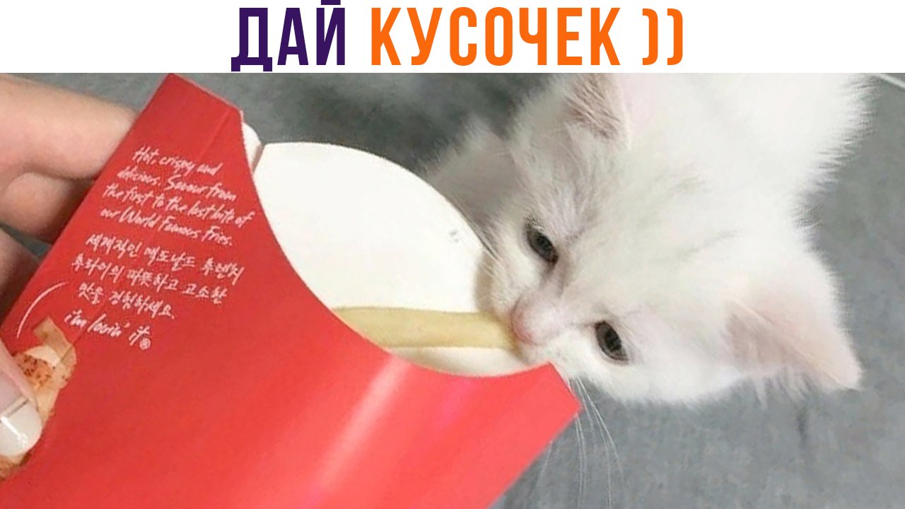ДЕВУШКА: Я НЕ ХОЧУ ЕСТЬ! ТАКЖЕ ОНА ))) | Приколы | Мемозг 1298