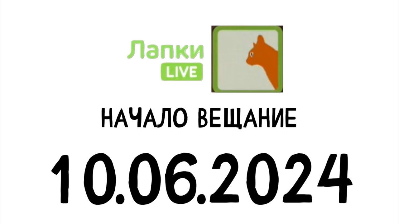 Начало вещание (Лапки live Казахстан, 10.06.2024)