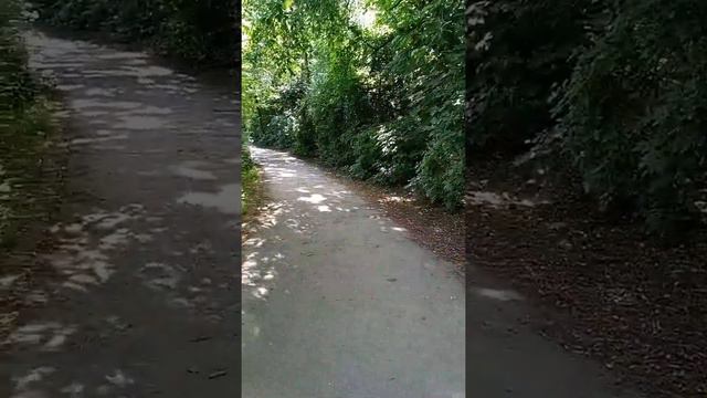 как находиться в моменте "здесь и сейчас". практика