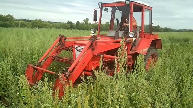 Купил косилку на Т-25. Первое впечатление.