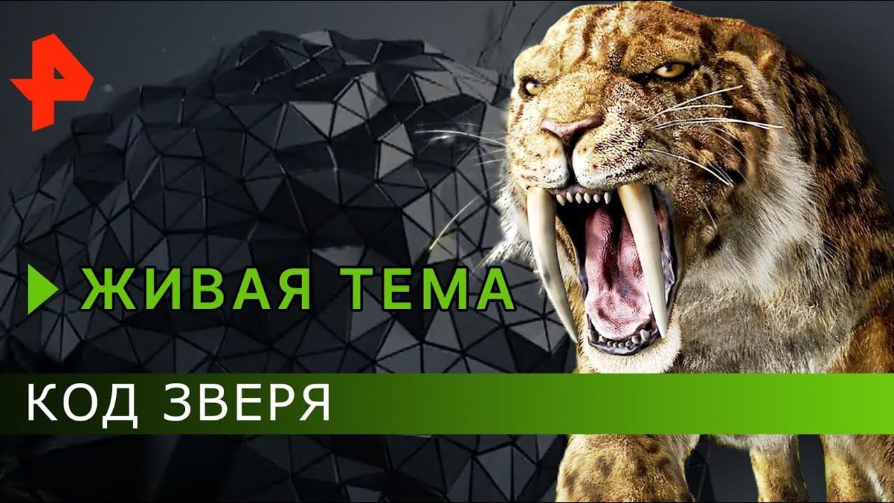 Живая тема. Код Зверя. 1 серия