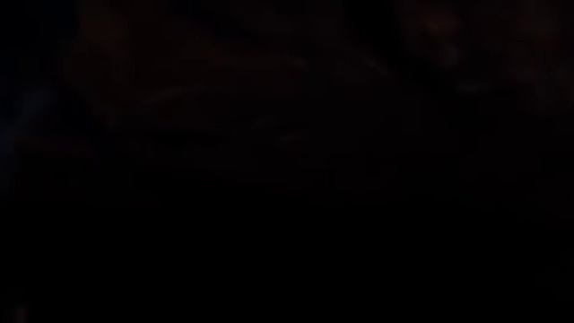 ридик 3