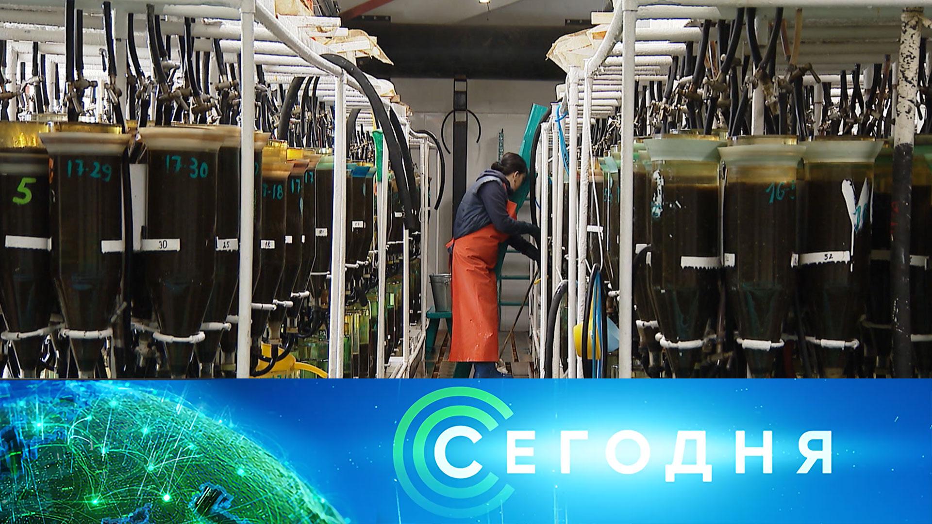 «Сегодня»: 31 мая 2023 года. 16:00 | Выпуск новостей | Новости НТВ