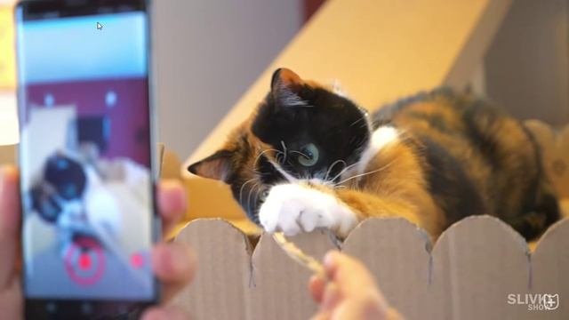 домик для кошки