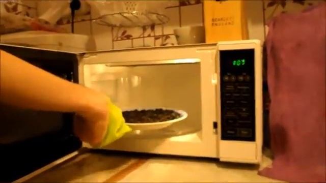 Как жарить семечки в микроволновке