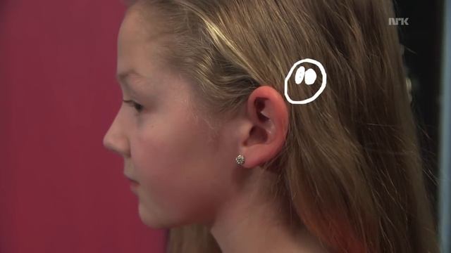 Pubertet (1:8): Hvordan starter det? // Puberty: How does it start?
