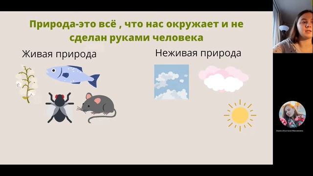Урок по окружающему миру 3 класс "Природа"