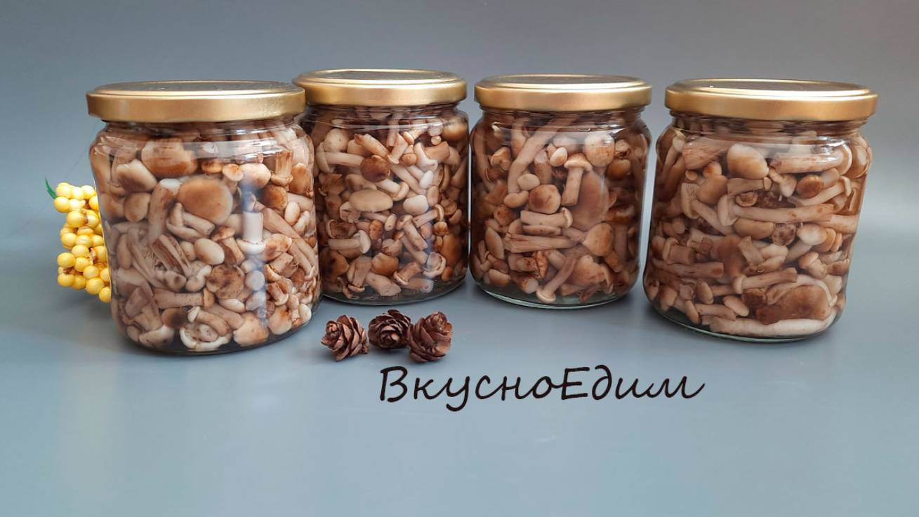 ОПЯТА МАРИНОВАННЫЕ/ заготовки из грибов на зиму