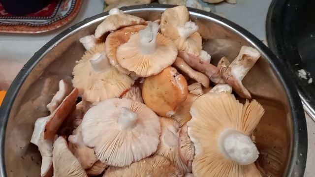 СЫРОЕЖКИ.  ЖАРЕНЫЕ. ЛЕГКО.
