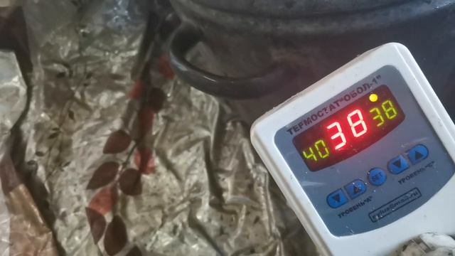 Как распустить (растопить) мед в куботейнере не потеряв его качество