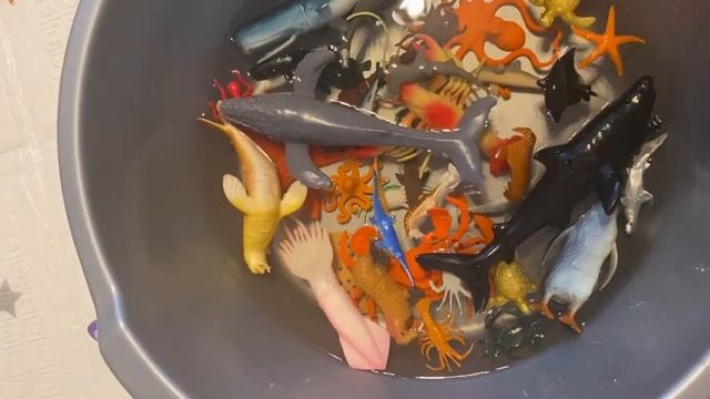 Морские животные 2