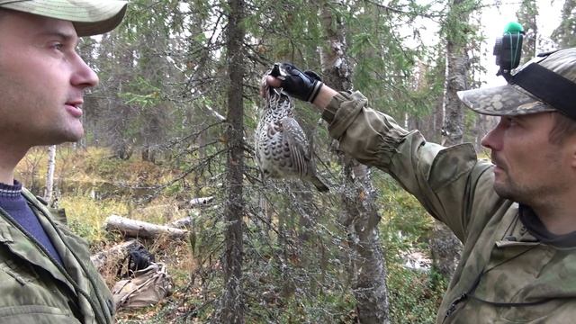 Идеальный выстрел из мелкашки по рябчику. Охота в Республике Коми.