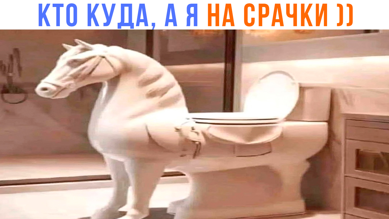 КТО КУДА, А Я НА СРАЧКИ ))) Приколы | Мемозг 1436