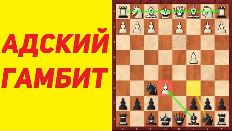 Шахматы. Скандинавская защита. ГАМБИТ за чёрных + ДЕБЮТНЫЕ ЛОВУШКИ.