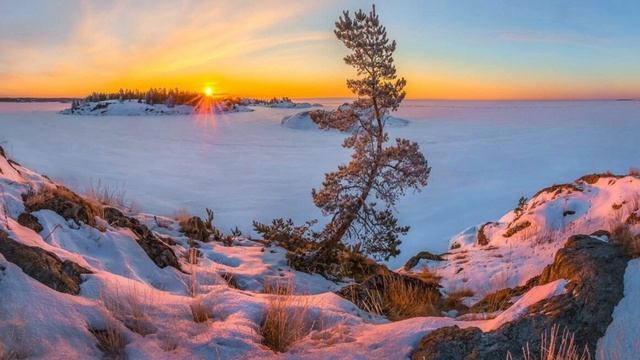 675. ♫ .Эдгар Туниянц ~"Цените каждое мгновенье"~
